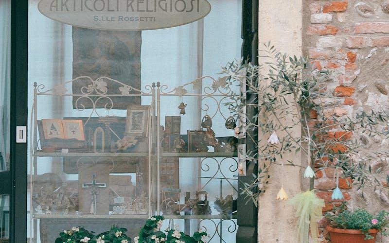 Vitrine de boutique décorée avec des plantes et des fleurs de printemps